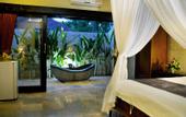 Туры в отель Hidden Paradise Cottages