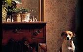 Туры в отель Hotel Prinsenhof Bruges