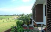 Туры в отель Jay's Villas Bali