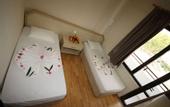 Туры в отель Amber Hotel