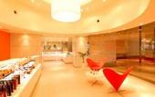 Туры в отель ANA Gate Tower Hotel