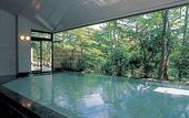 Туры в отель Hakone Hotel Kowakien