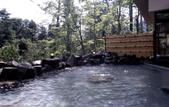 Туры в отель Hakone Hotel Kowakien