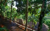 Туры в отель Natura Resort & Spa