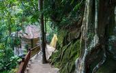 Туры в отель Natura Resort & Spa