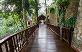 Туры в отель Natura Resort & Spa