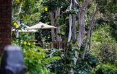Туры в отель Natura Resort & Spa