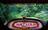 Туры в отель Natura Resort & Spa