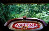 Туры в отель Natura Resort & Spa