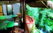 Туры в отель Natura Resort & Spa