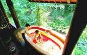 Туры в отель Natura Resort & Spa