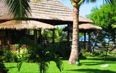 Туры в отель Puri Dajuma Cottages