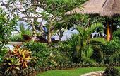 Туры в отель Puri Dajuma Cottages