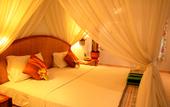 Туры в отель Puri Dajuma Cottages