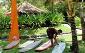 Туры в отель Puri Dajuma Cottages