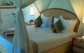 Туры в отель Puri Dajuma Cottages