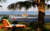 Туры в отель Puri Dajuma Cottages