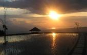 Туры в отель Puri Lumbung Cottages