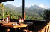Туры в отель Puri Lumbung Cottages