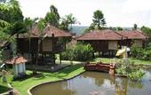 Туры в отель Puri Lumbung Cottages