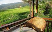 Туры в отель Puri Lumbung Cottages