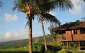 Туры в отель Puri Lumbung Cottages
