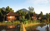 Туры в отель Puri Lumbung Cottages