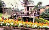 Туры в отель Belle Villa Resort Chiangmai