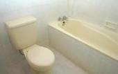 Туры в отель Sorga Cottages