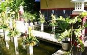 Туры в отель Spartacvs Bali Hotel