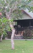 Туры в отель Tanah Merah Resort & Gallery