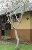 Туры в отель Tanah Merah Resort & Gallery