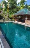 Туры в отель Tanah Merah Resort & Gallery