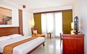 Туры в отель The Rani Hotel & Spa
