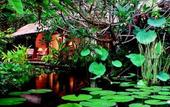 Туры в отель The Watergarden Hotel & Spa