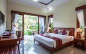 Туры в отель Vila Shanti Beach Hotel
