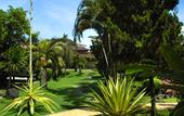 Туры в отель Vision Villa Resort