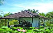 Туры в отель Vision Villa Resort