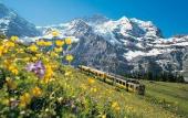 Туры в отель Jungfraublick