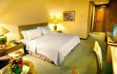 Туры в отель Hotel Ciputra Jakarta