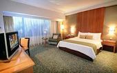 Туры в отель Hotel Ciputra Jakarta
