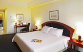 Туры в отель Ibis Surabaya Rajawali