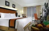 Туры в отель Jogjakarta Plaza Hotel