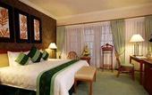 Туры в отель Jogjakarta Plaza Hotel