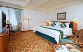 Туры в отель Jogjakarta Plaza Hotel