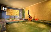 Туры в отель Novotel Solo