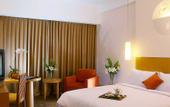 Туры в отель Novotel Bandung
