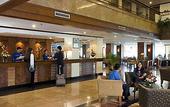 Туры в отель Hotel Novotel Batam
