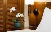 Туры в отель Hotel Novotel Batam