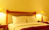 Туры в отель Hotel Aryaduta Manado